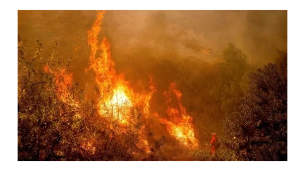 California brushfire