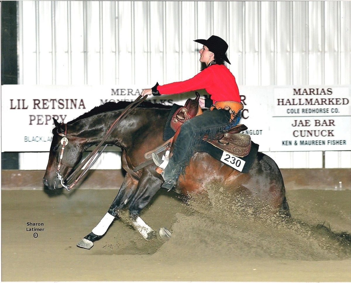 ReinerNic Performance Horses Nicker Equine Home