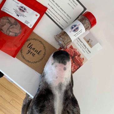 Dog sniffing Pleasant Valley Treats pet products and thank you card.