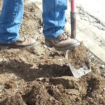 nursery plants flowers trees shrubs soil mulch fertilizer landscaping color bloom landscape planting