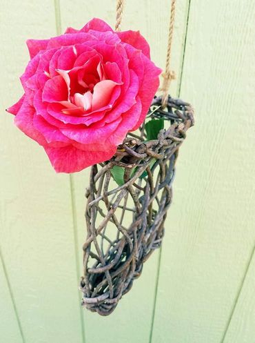 red rose
pink rose
roses
hanging basket
rustic
basket on shed
braided basket
cut flowers