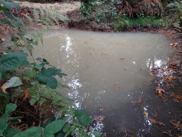 Small pond full of water