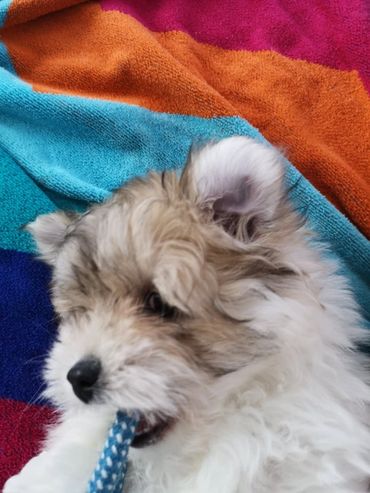 Portée Signature Diane Benaroche