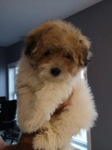 Portée Signature Diane Benaroche