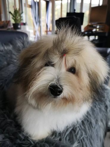 Portée Signature Diane Benaroche