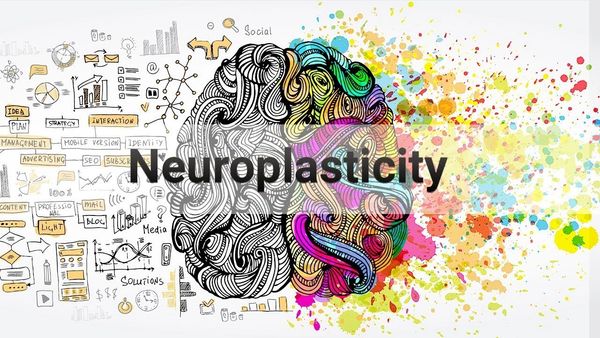 Neuroplasticity: Your ability to rewire your brain.