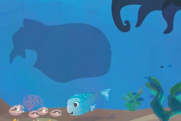 A Little Fish Finds New Friends is a children's book and bedtime story that goes on an oceanic adventure with a little fish leading the way. This kids book comes with a song; and the book without the song is only half the story!