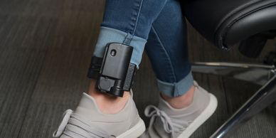 Monitoring device Omnilink