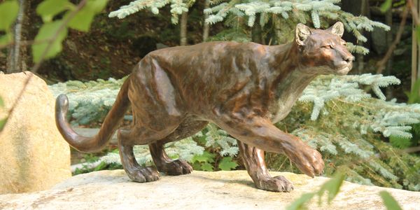 Silent Pause Bronze sculpture artist bronze bear sculpture bronze wildcats bird sculpture wildlife