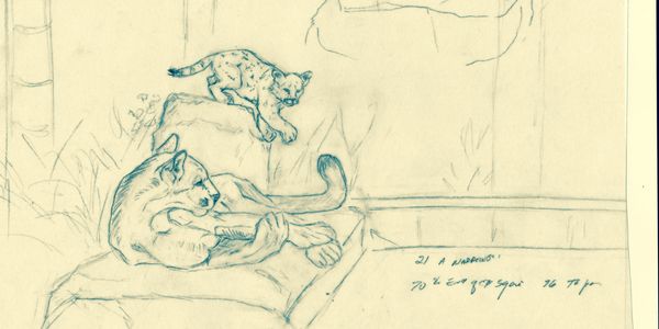 Bronze sculpture artist bronze bear sculpture bronze wildcats bird sculpture wildlife commission