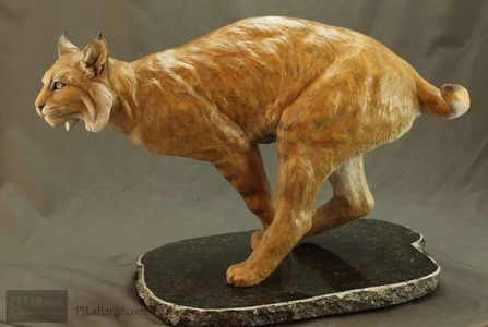 Bronze sculpture artist bronze bear sculpture bronze wildcats bird sculpture wildlife commission