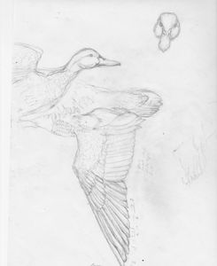 Bronze sculpture artist bronze bear sculpture bronze wildcats bird sculpture wildlife commission