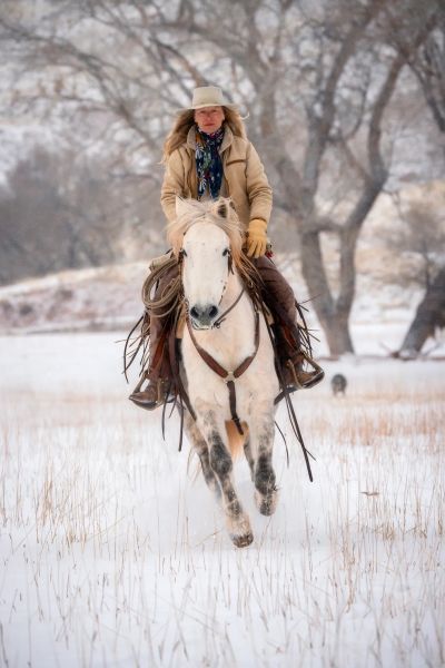 Woman in winter clothes riding a white horse in snowy landscape.