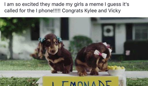 Car max commercial with dachshunds