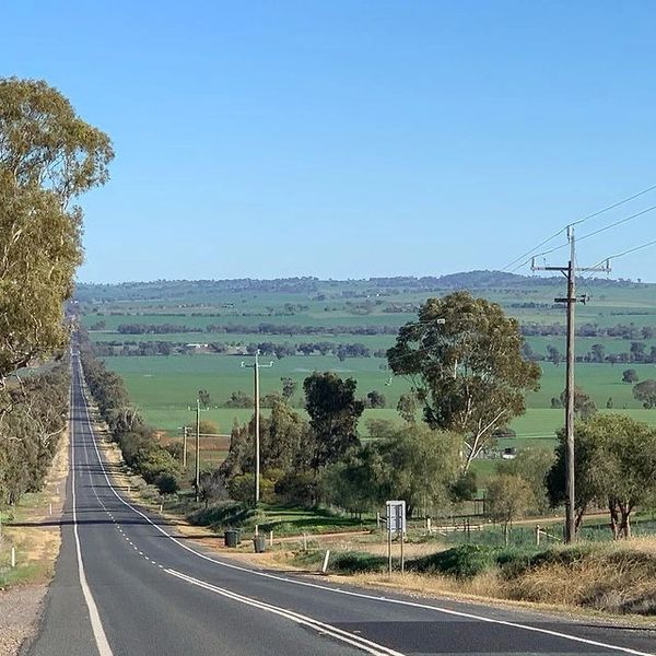 Junee, NSW
After the drought, beautiful green hills out of town