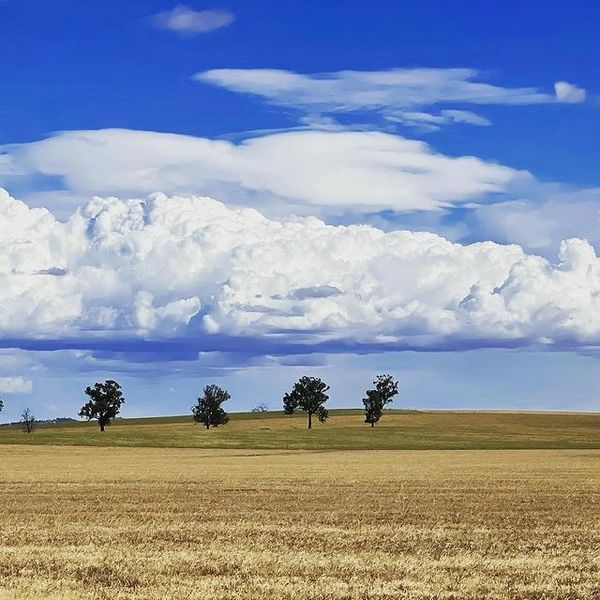 Wagga Wagga, NSW
Big blue skies over Wagga