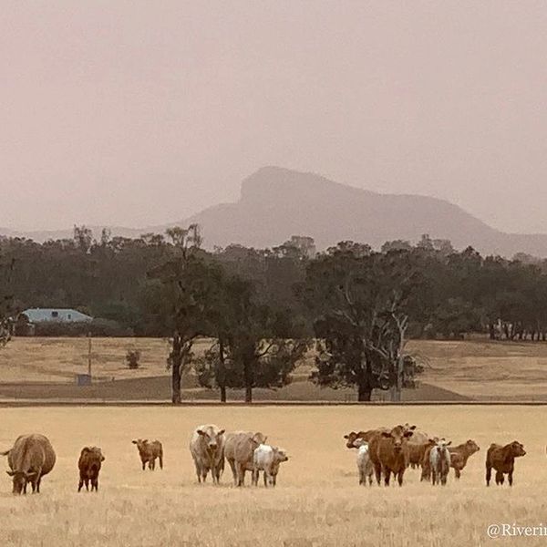 The Rock, NSW
Dust Storm, November 2019