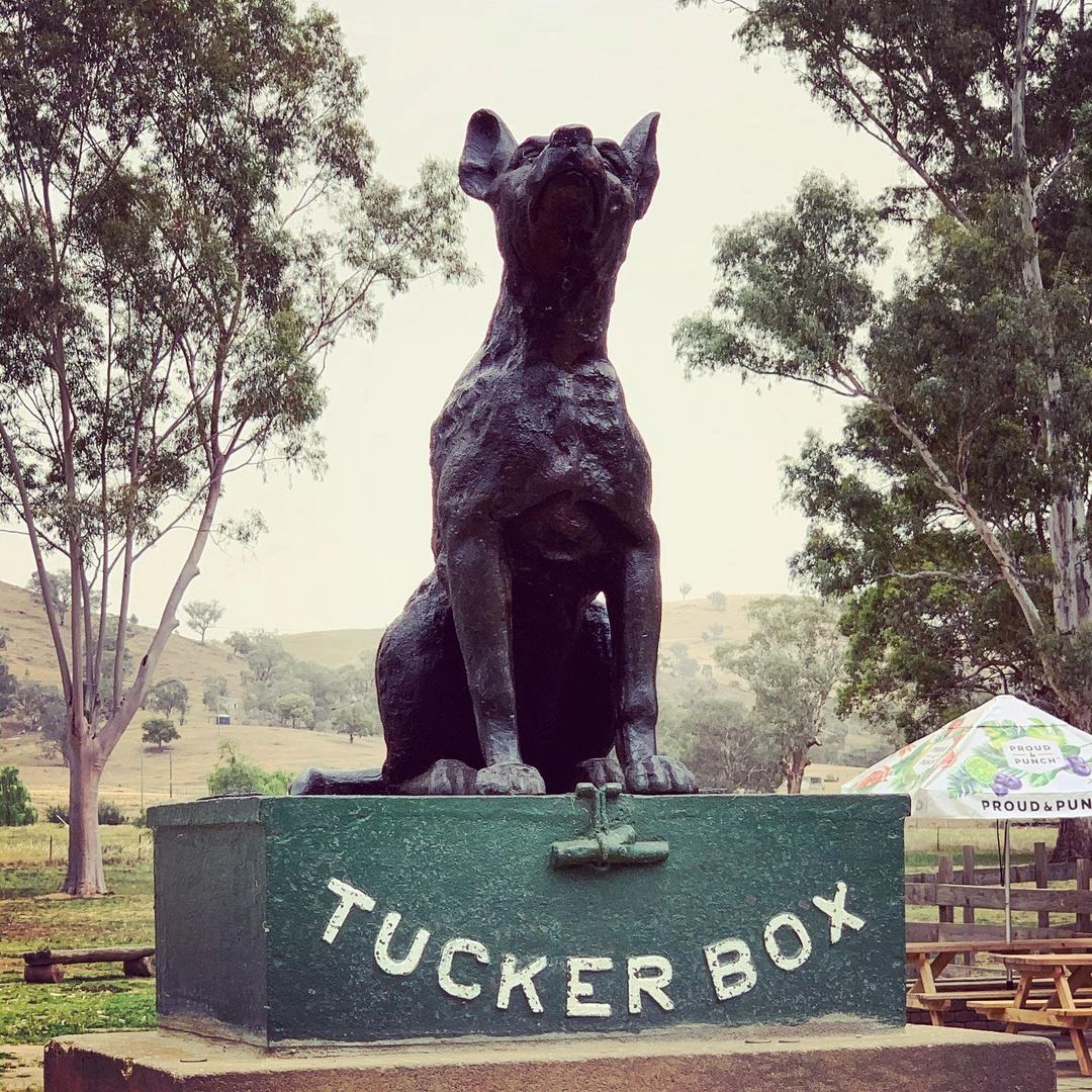 Dog On The Tuckerbox