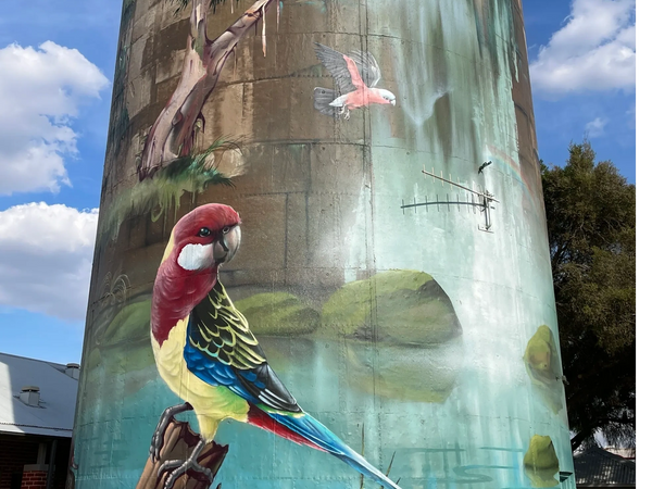 Lockhart, NSW
Amazing silo art