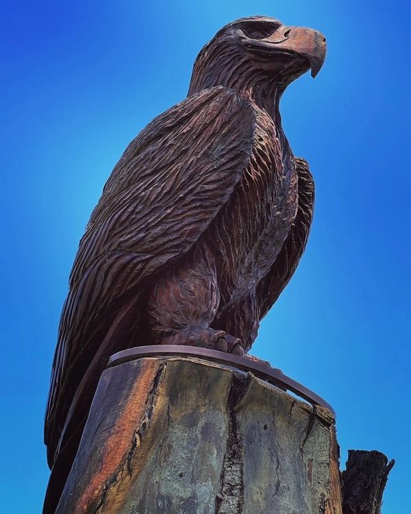 West Wyalong, NSW
Chainsaw sculpture carved out of redgum by Brandon Kroon