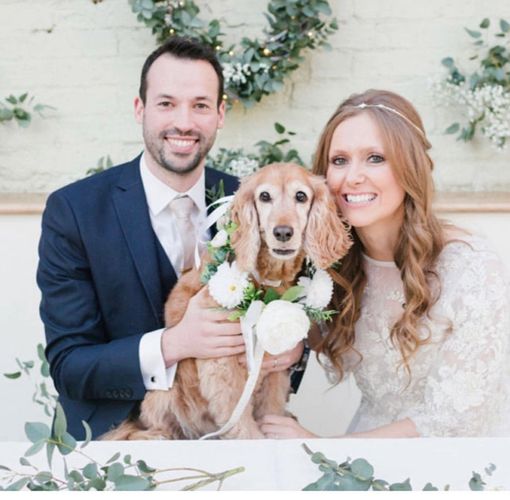 Bride and groom with their dog wearing a white Rose floral dog collar