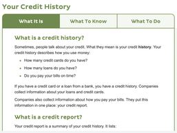 Part of the "Your Credit History" page...