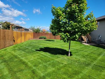 Easy home lawn care service