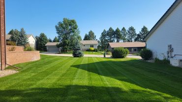 Doesnt get any greener than this lawn!