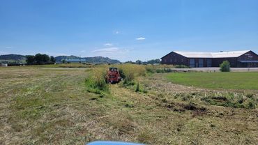Weeds taller than our equipment