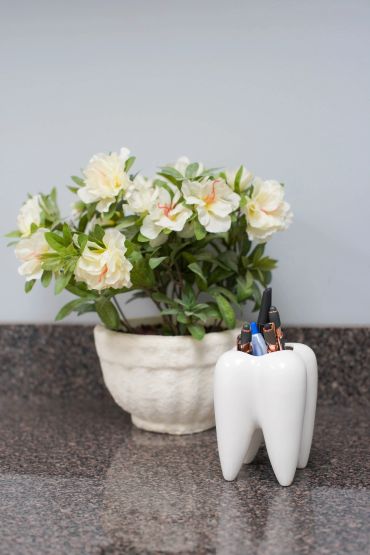 White flower pot and tooth-shaped pen holder on countertop.