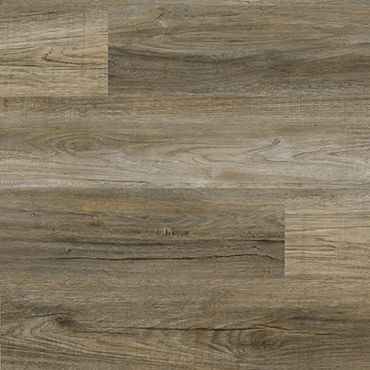 Tru-Shield by Timeless Designs