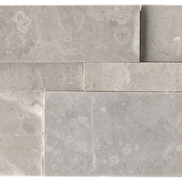 Argento Honed - 6x24