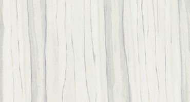 Michelangelo
Size: 12''x24''
Finish: Honed