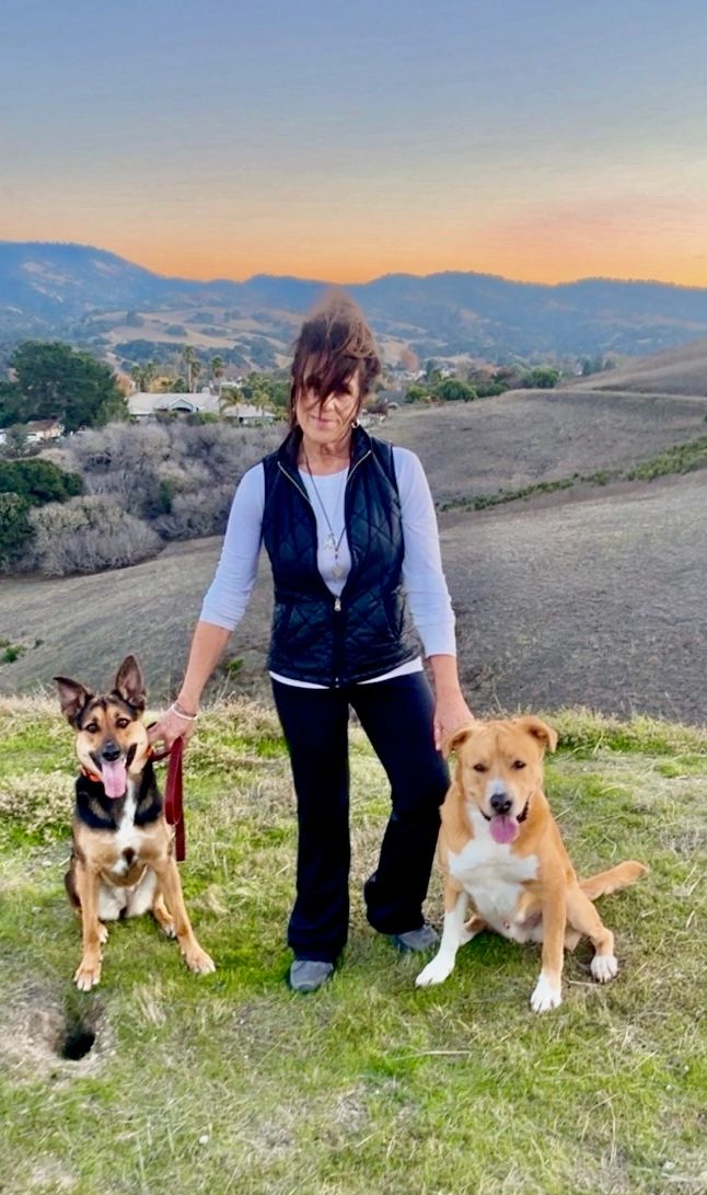 Woman standing on a hill with two dogs at sunset.