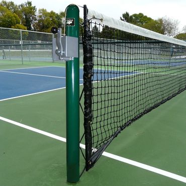Bison Pickleball system