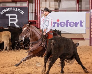 Homozygous roan stallion by Once In A Blu Boon and Adan Banuelos. From Solo Select - the very best.