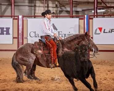 Homozygous roan stallion by Once In A Blu Boon and Adan Banuelos. From Solo Select - the very best.