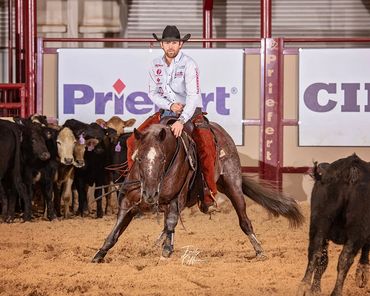 Homozygous roan stallion by Once In A Blu Boon and Adan Banuelos. From Solo Select - the very best.