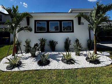 Modern front yard landscaping with palm trees and white rocks.