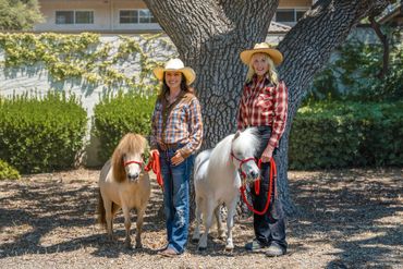 Two women in cowboy hats stand with miniature horses under a large tree.