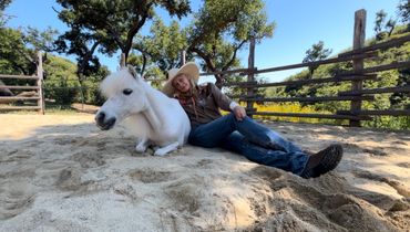 Person relaxing on sand beside a small white pony in a fenced area.