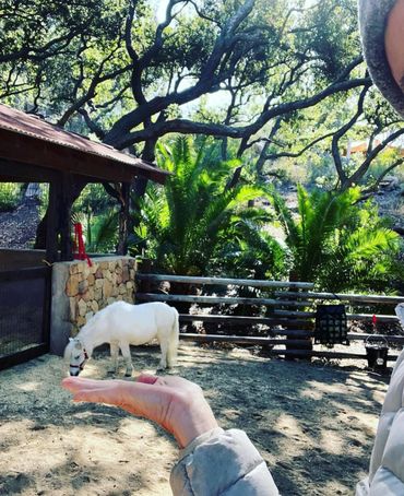 Person appears to hold a small white pony in their hand through perspective.