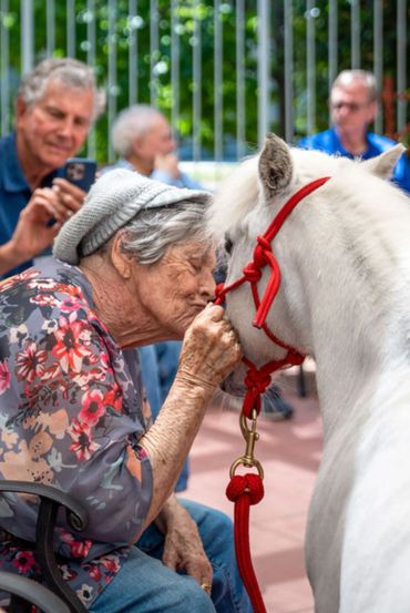 Elderly woman affectionately kisses a white horse's muzzle with onlookers nearby.