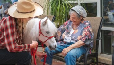 Elderly woman joyfully interacts with a small white pony and its handler.