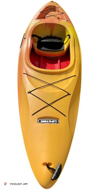 The Lifetime Charger 100