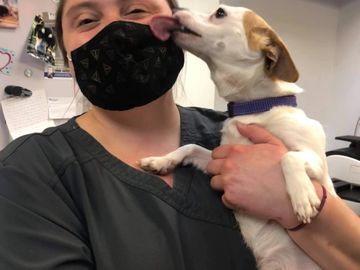 Sweet Abby is now known as Greta and loves her forever mom.