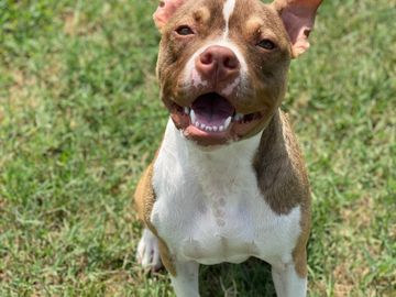 Friday smiling big about finding his forever family