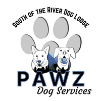 PAWZ Dog Services