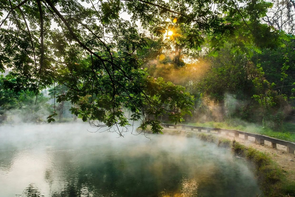 Sunlight through misty forest over a calm pond.