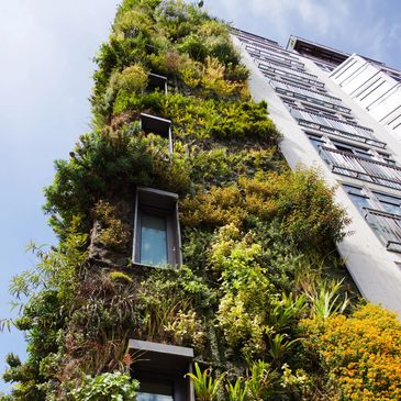 India's best Hydroponic based Living Walls/Green Walls/vertical gardens for any interior or exterior